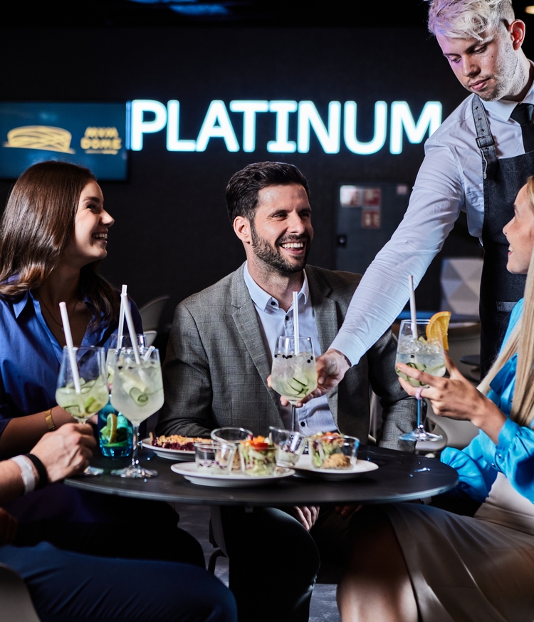 Second VIP Lounge image, premium services Alt